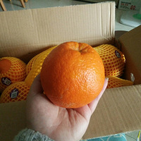 һȿɺ