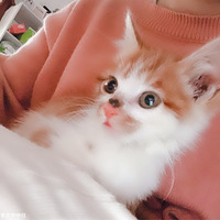 �ܹԺܹԵ�Сè�䣬��һ��Ҫ�úõ�