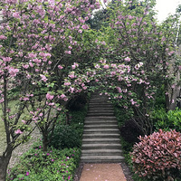 ¹Ƕ7000+¥ۣΪʲôҪӭ