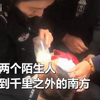 �ĺ����ճ���17�������������ĸ����3��Ԫ���Һõǻ�ǰ������