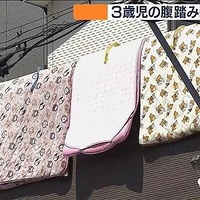 23�����Ͻ��ɱ��3��ܵܡ���һ׮��ĸ��ɵļ�ͥ���磿