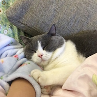 ���Ҽ����������Ҹ�Ů����