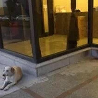 �����������˹�����֪���Լ�����������