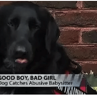 1�꺢�ӱ���ķŰ�����±��Ҵ��������ᱼ��лΨһ��Ŀ���ߡ���