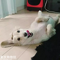 ͵�����������������ֹ�ķ��������ˡ���