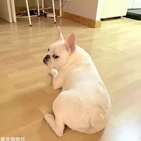 ��ֻ������������棬�������Լ�������