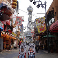 ����˫��̥ȥ����֮�ձ�ƪ