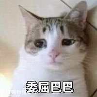 һиɳȥˣ5ȫҪ㣬ĺˣ