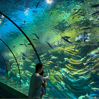 ��һС���٣�����Զ�Ų�ȥ�˴��ڣ�������������ʱ��