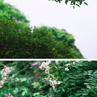 ����ʱ��