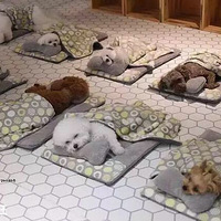 �������׶�԰��һ�죺��������˯�ĳ������ȵ�ը��