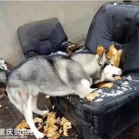 ��Щ�������Զ��������������ˣ�