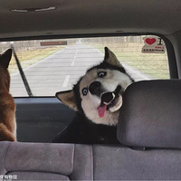 ���˰ѹ���ƭȥ��̲��Ȼ��һ�Բ��Ͼ����ˡ���