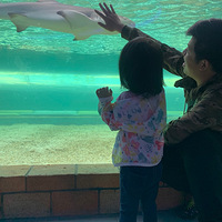 �򿨾�˵�������������ڶ���԰��ֵ�ô�һ��