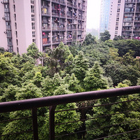 ����ʯ���ʷ�Դ