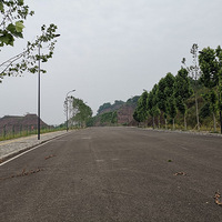 ����������Ҫ��ô��Ŷ��