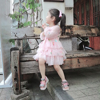 �Ž����⴩Խ�ľ�����������+���������