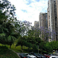 ��������:����;�ס��������