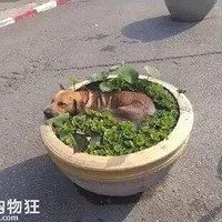 �����£���Щ�����ȵĲ����ˡ���