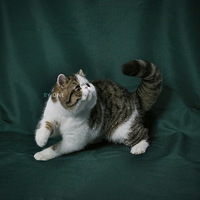 ���뿪�ҵĵ�23�죬�������ɳ���¼����