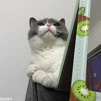 �ҼҵĴ�ɰ���С�ɰ�