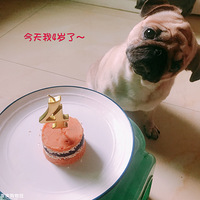 ��С�����������գ��������ĳ��˱������