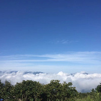 �ᶼ������������