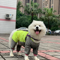 ɹ����