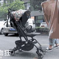 Ӥ���Ƴ��ϵġ�����ɱ�֡���һ��С�Ŀ���Ҫ�˺��ӵ���