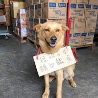 �����ڹ������Ϲ���һ�����ӣ�����յ��������Ļظ���
