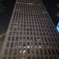 ����������һƲ