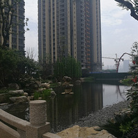 ���������´�԰�ִ���ͥΧ��ʽС����ɹɹ��