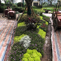 ������������������ַ��