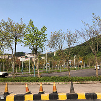 ��л������������õ�����