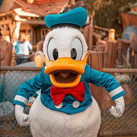 �������׶�԰6.1���ݣ�ȫ�Ҷ����׶�԰��׳���ˡ���������ѧͯ��