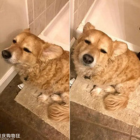 ÿ��ȥ���������ᷢ����Ͱ�������ֻ������