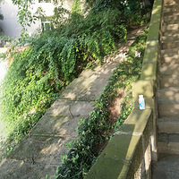 ���翴�������Ǻܸ��ˣ��������ϾͲ������ˡ���