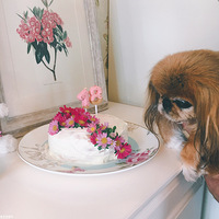 �ҵ�ë��18����~����һ��