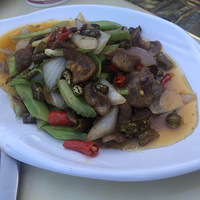 ɱžţݵ½ţꡪţ?ţ