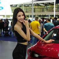 ��2019���쳵չ������ȷ��š��ĳ�ģ����Ĺ���