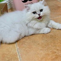 ��һ��Ŷ ��ҵ���������������ô��ģ�