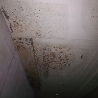 Э�ſ����̺ò��ã�