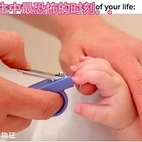 ȫ���������ӵ����鶼��һ���ģ������㿴����9��ͼ