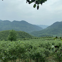 ����ˬ����ݮ֮�ã�����Ҳ�������С���ĩ���޵ء�