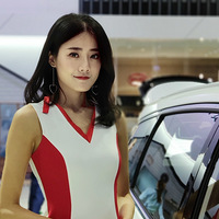 ��2019���쳵չ������ȷ��š��ֻ��ĳ�ģ