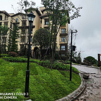 ��ˮ���2019���½��ȶ��ڽ���