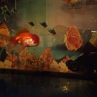 Wellcome to new home (*RQ)