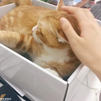 ��ͷ����ͺͺͺͺͺͺͺͺ�ˣ�