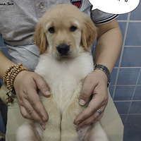 �Դ����˶����ӣ����ͣ����������ץס�������еı���
