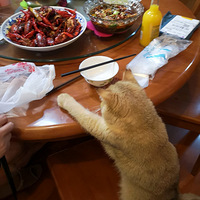 �Ҽ���Բ������